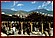 162 Thimphu marche.jpg